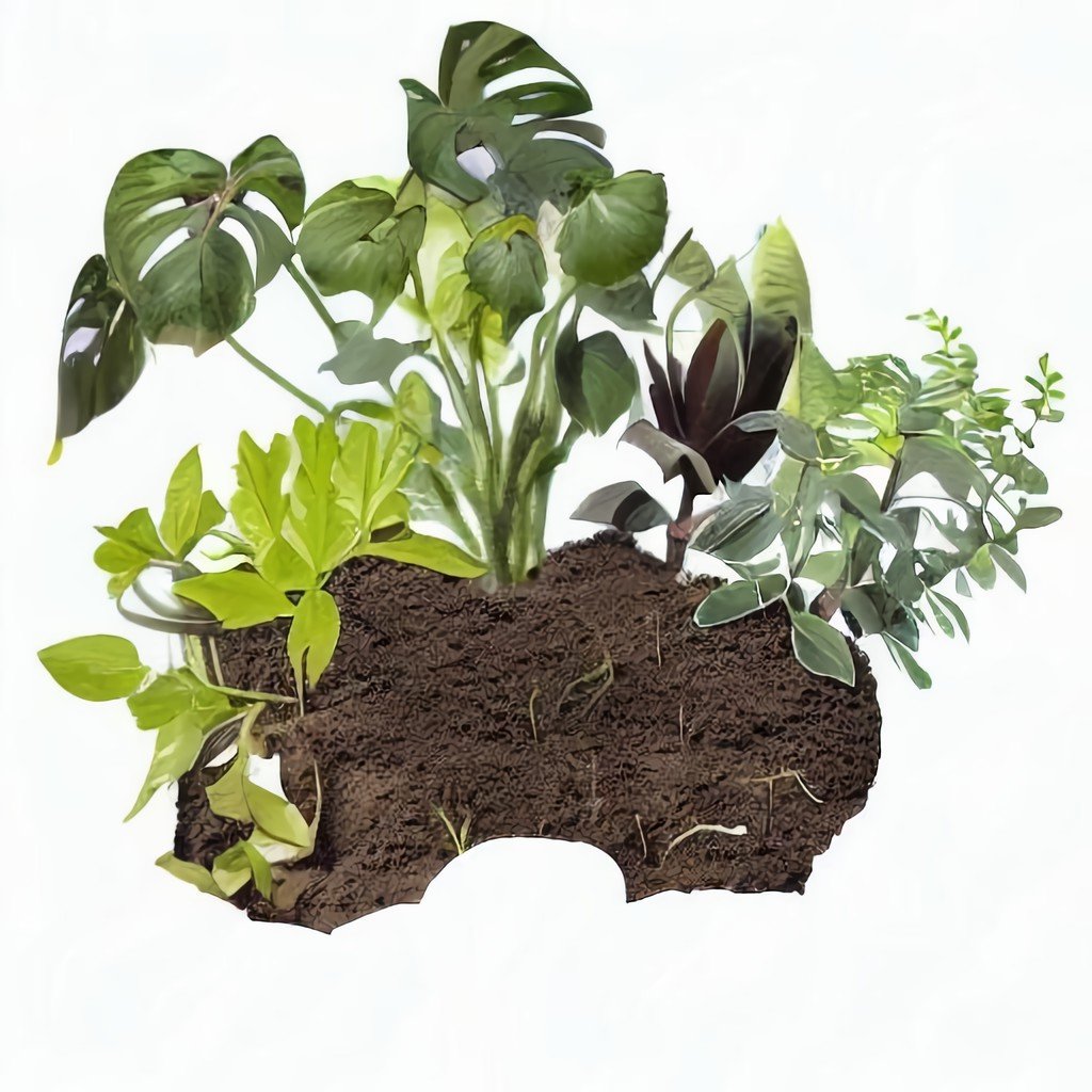 Zimmerpflanzen Substrat mischen (Calathea, Efeutute und 90 weitere...)   Pflanzpaket