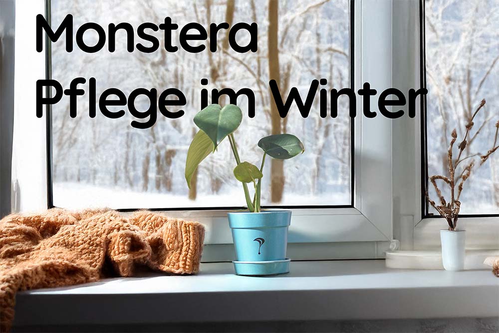 monstera inspiration Tropical Gardens Water Illusion Arrangement - Handcrafted USA main image 0