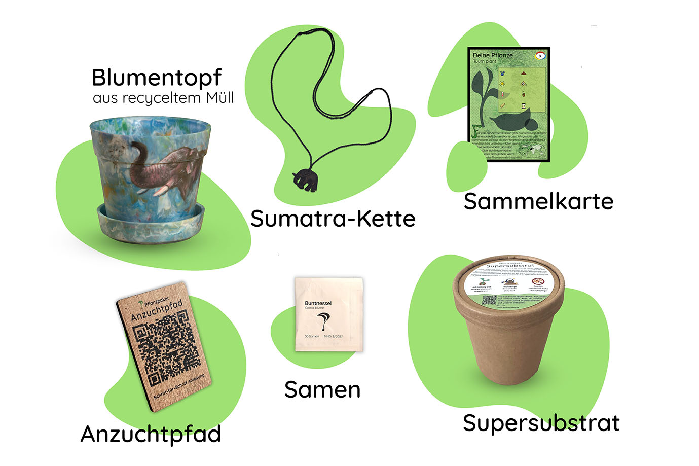 anzuchtset inhalt