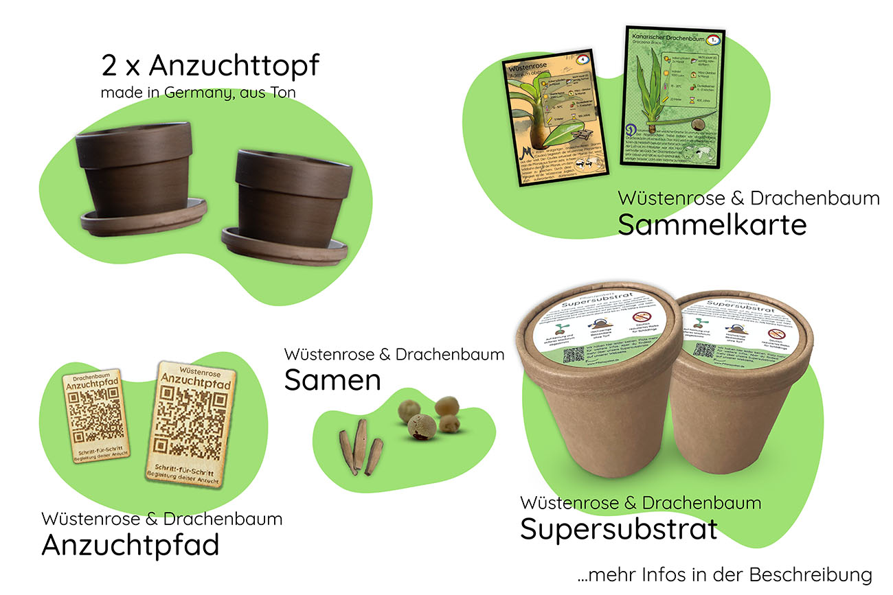 Bundle des Monats - Juli