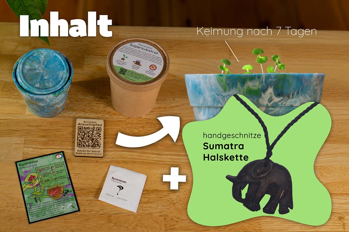Anzuchtset Inhalt