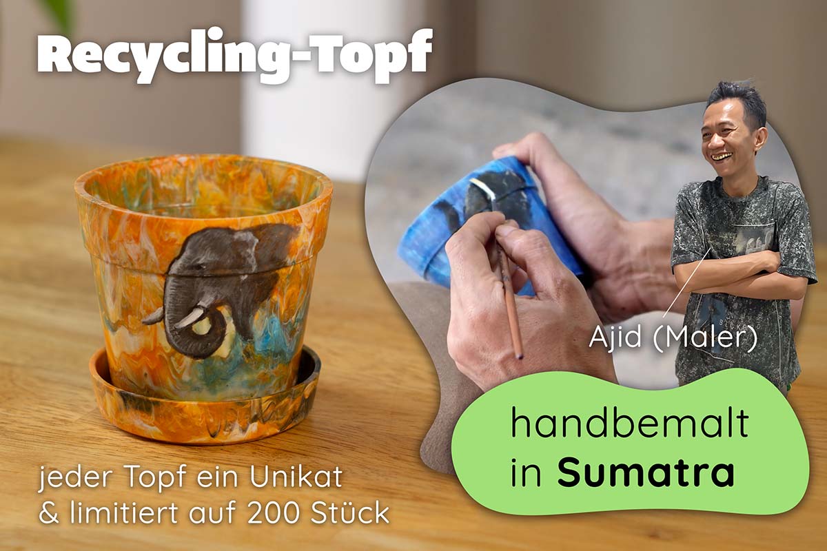 Recycling Blumentopf Bemalung