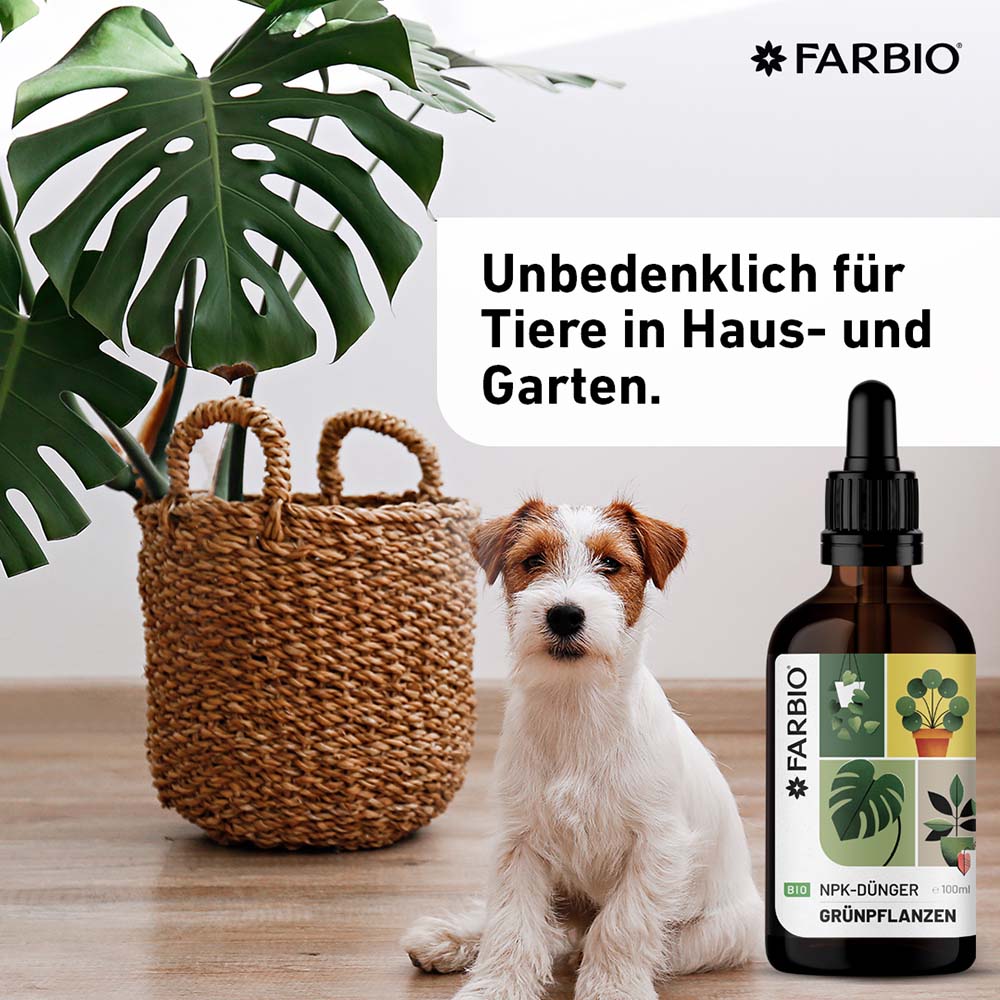 Flüssigdünger Haustiere