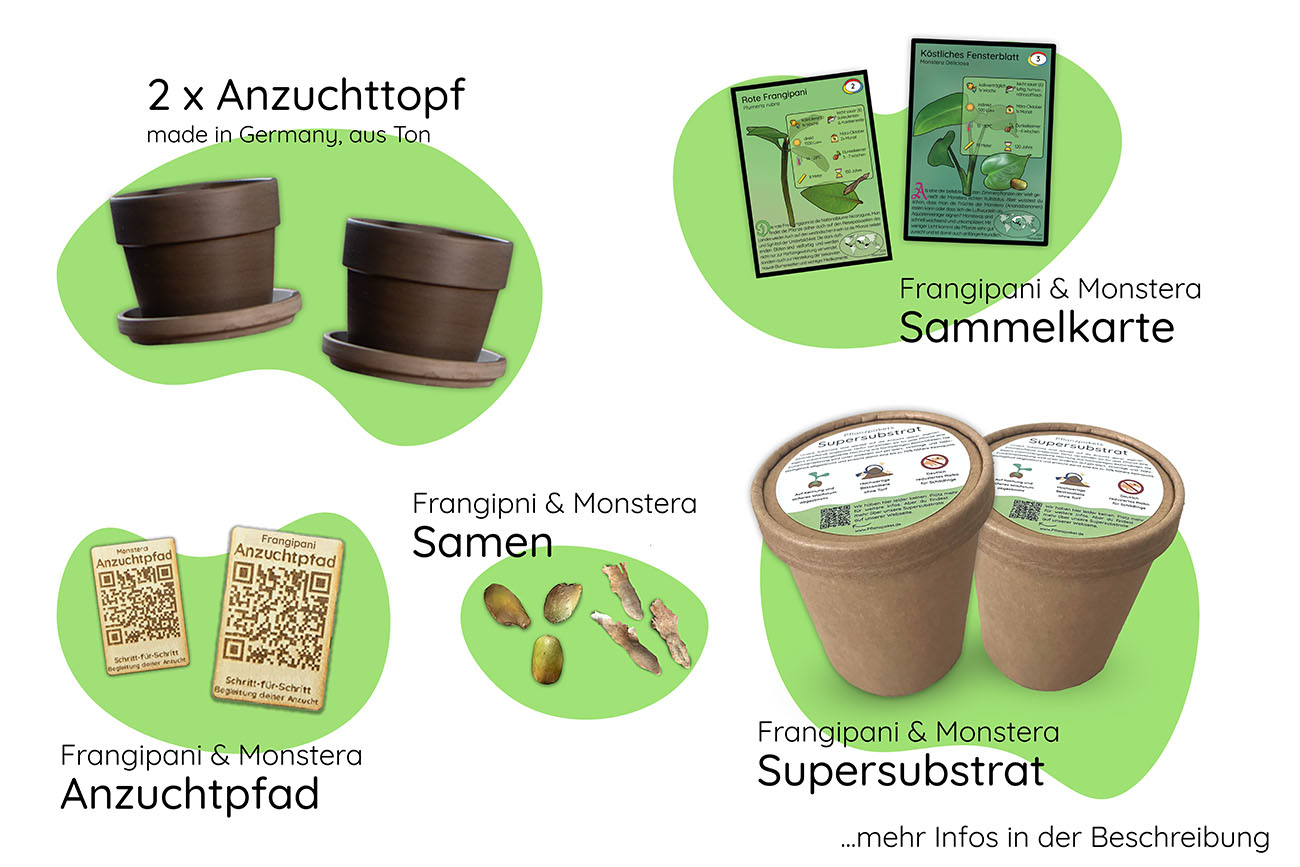Bundle des Monats