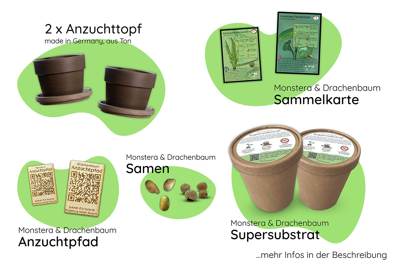 Bundle des Monats