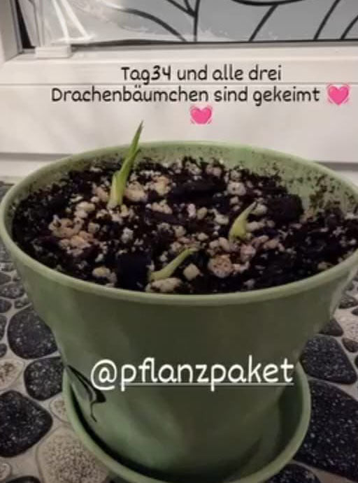 Gewinnerin_Januar2.jpg