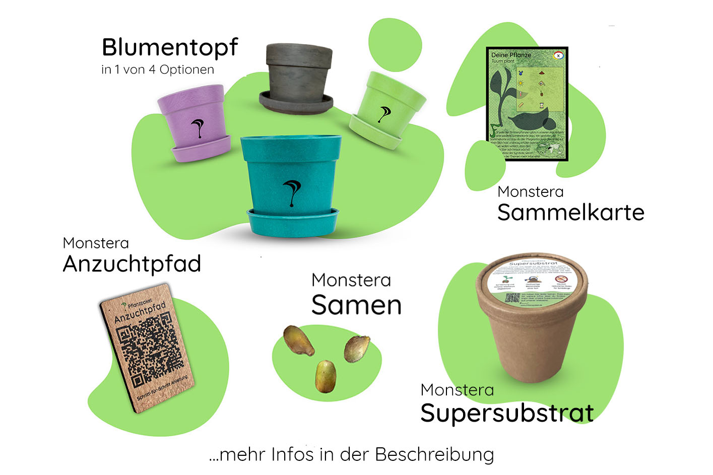 Anzuchtset (Monstera)