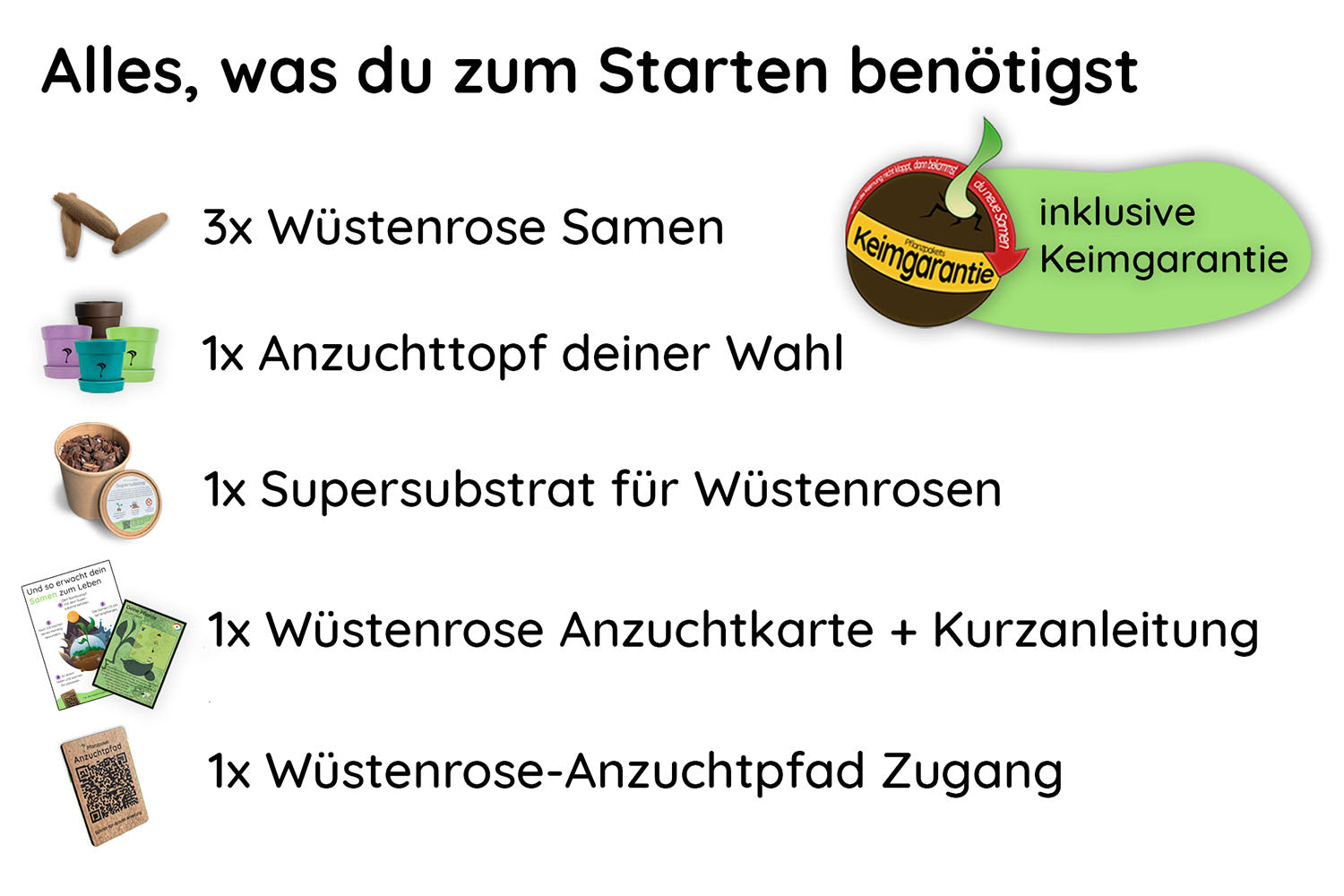 Anzuchtset (Wüstenrose)