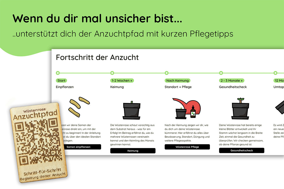 Bundle des Monats - Juli