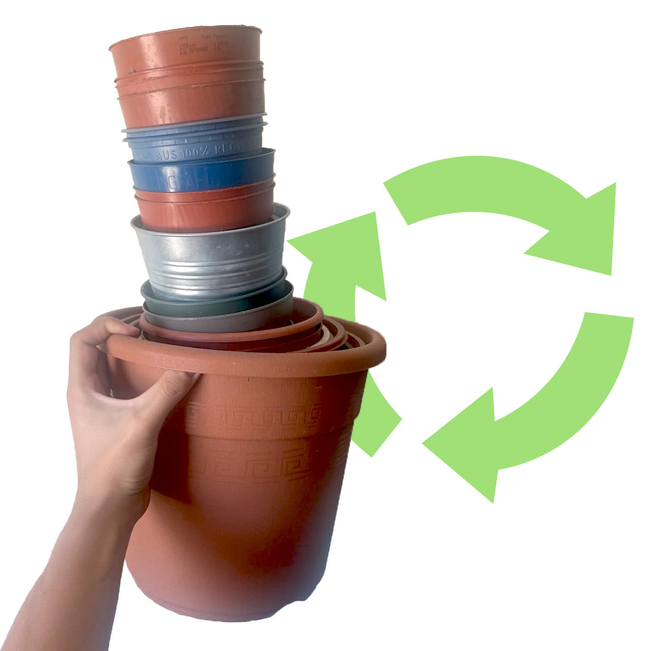 Topf & Tausch: Gebrauchte Blumentöpfe teilen statt wegwerfen