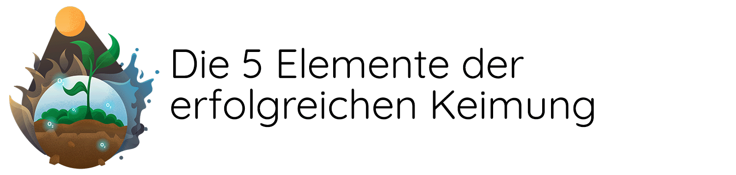 Zimmerpflanzen aus Samen ziehen - So klappt die Anzucht