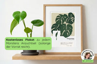 Aktions-Bundle Pflanzenkunst (Aloe, Monstera, Buntnessel)