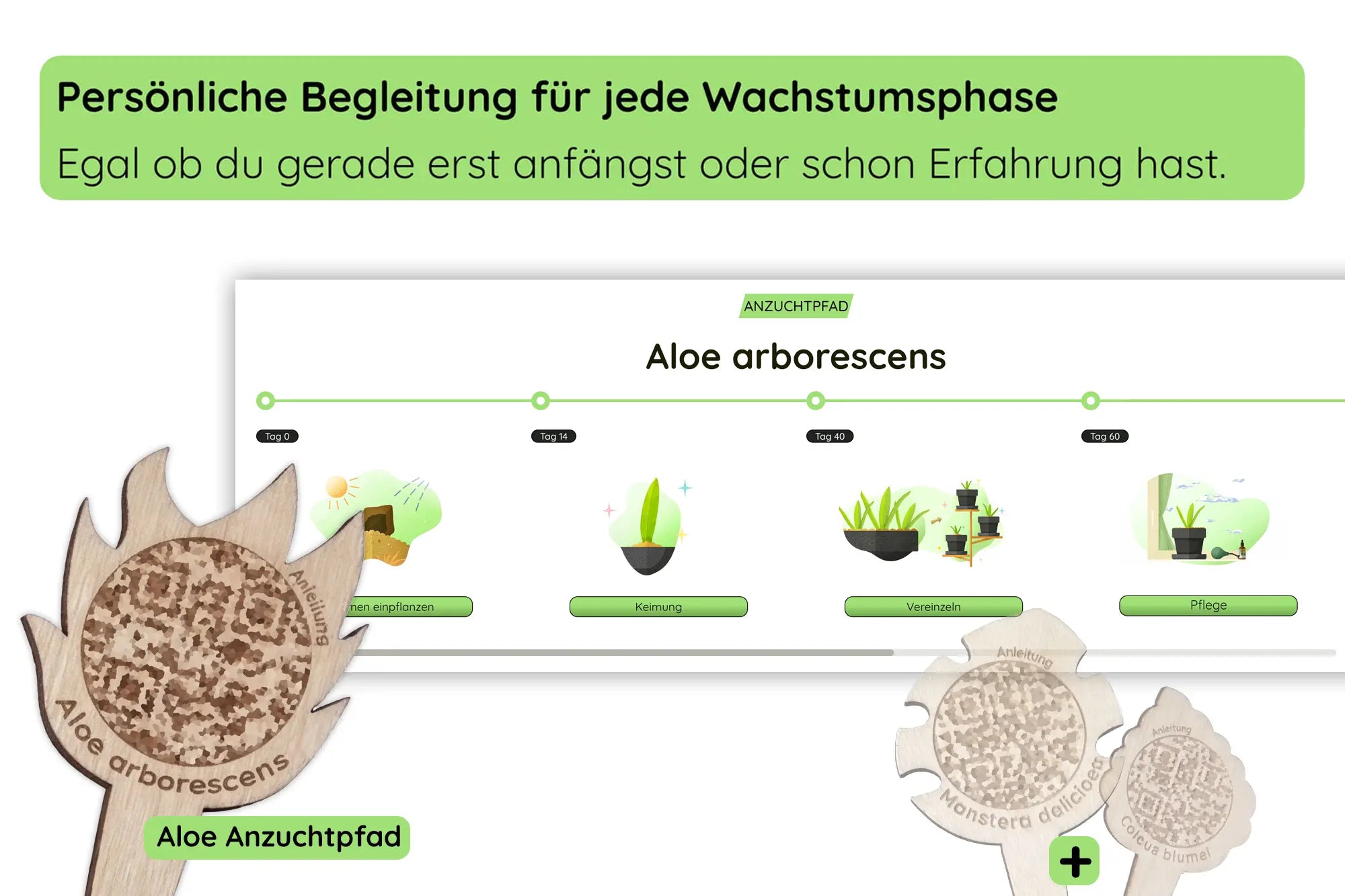 Anzucht Hilfestellung