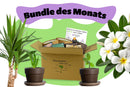 Bundle des Monats - Juni