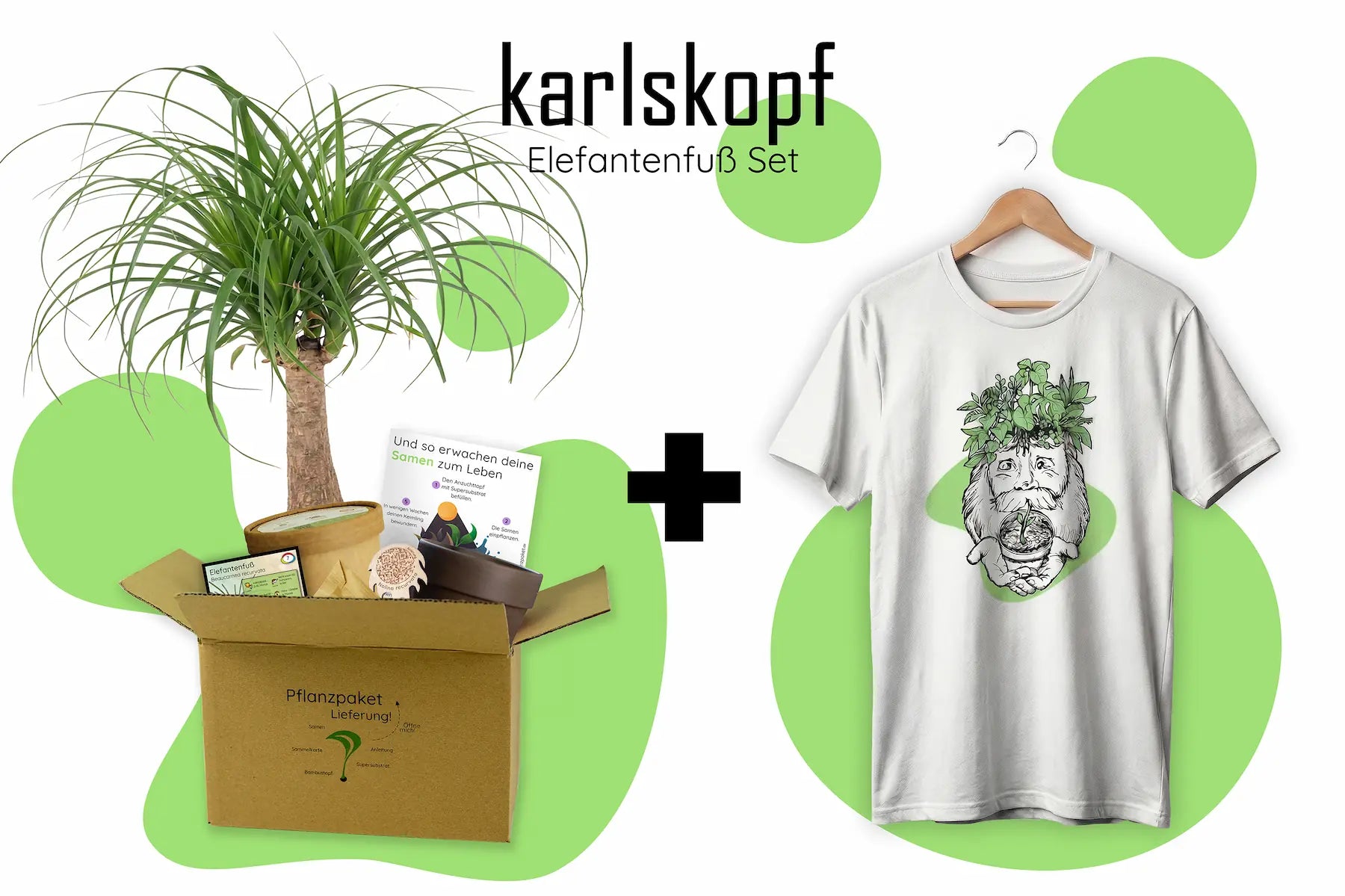 Karlskopf Elefantenfuß Anzuchtset