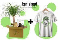 Karlskopf Anzuchtset