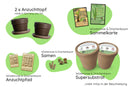 Bundle des Monats - Juli