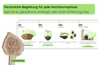 Anzuchtset (Buntnessel)