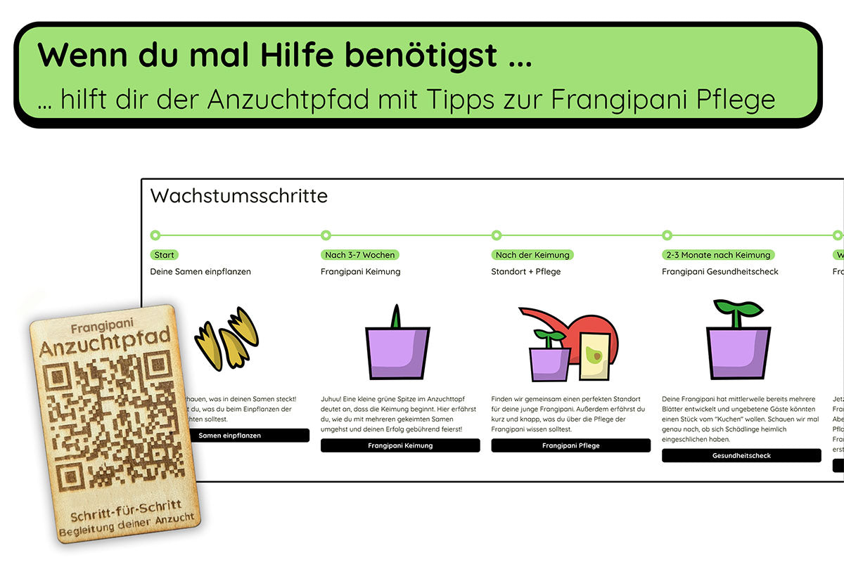 Anzuchtset (rote Frangipani)