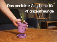 Anzuchtset Geschenk