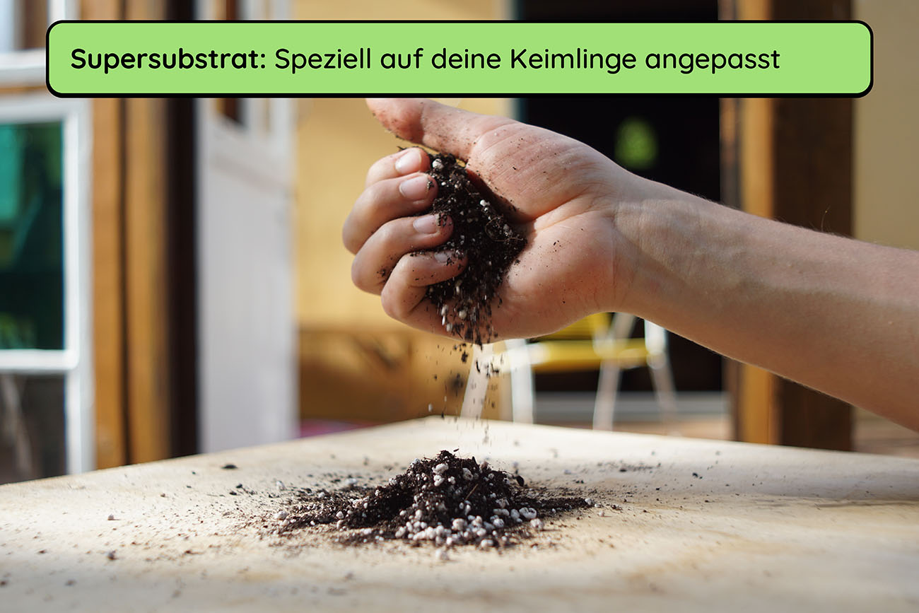 Anzuchtset Bundle (Duo)