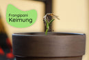 Bundle des Monats - Juni