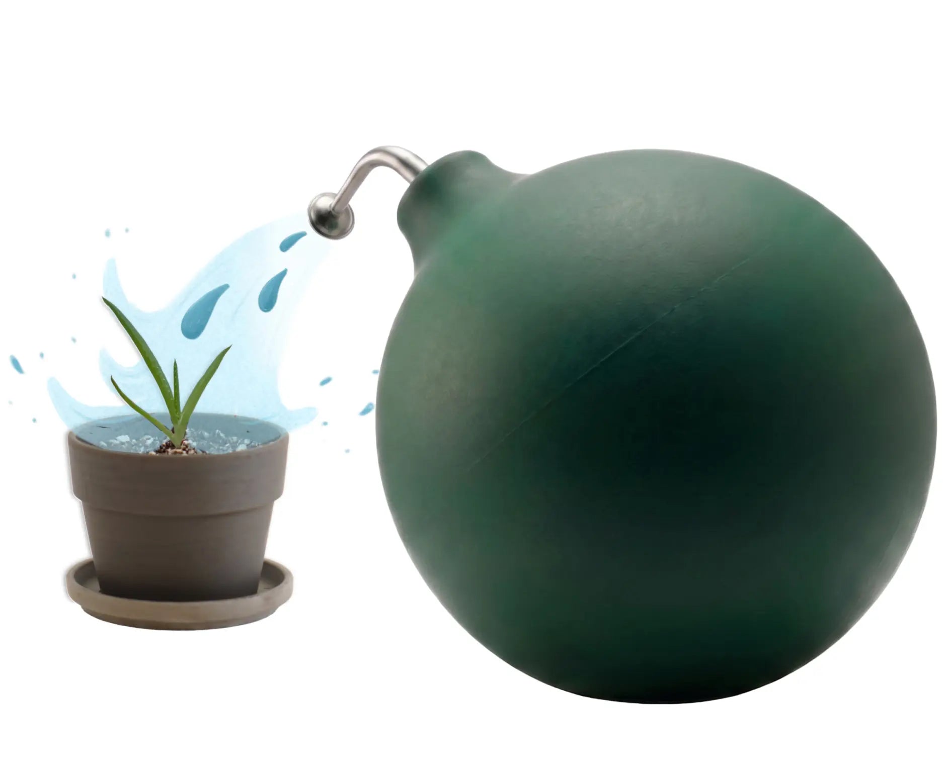 aloe bewässerung