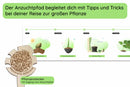 Monstera Pflegetipps