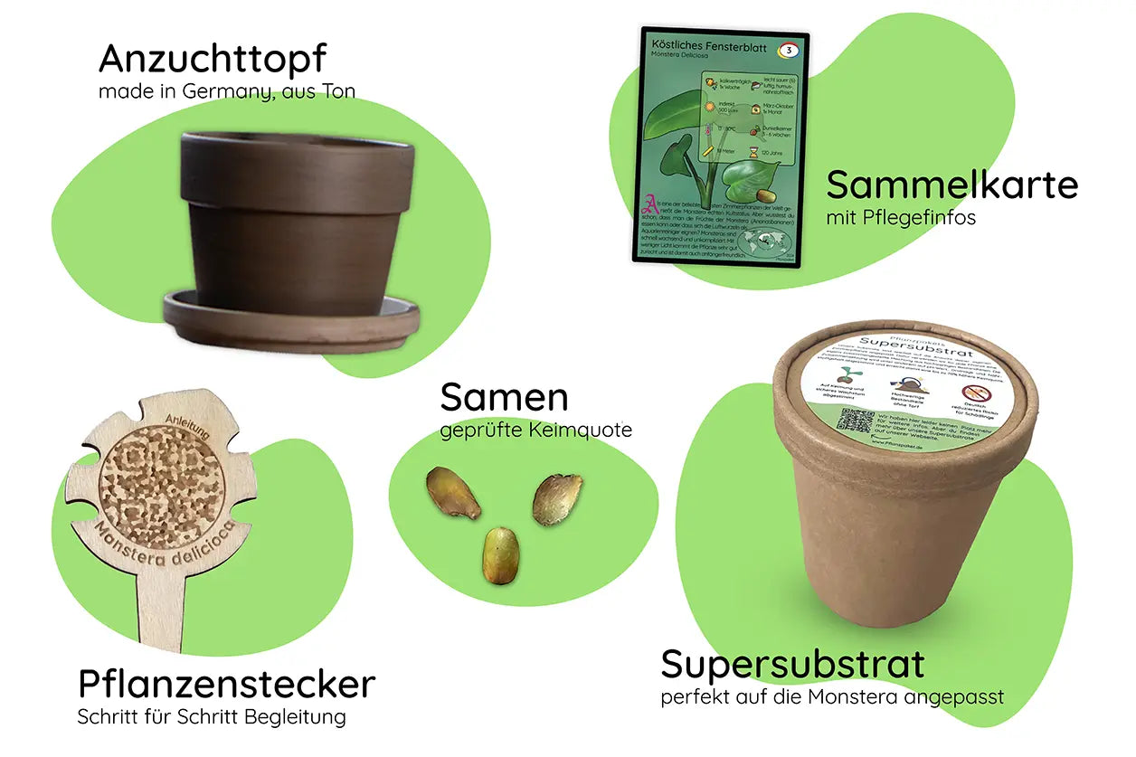Anzuchtset Bestandteile