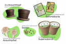 Bundle des Monats