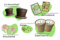 Bundle des Monats