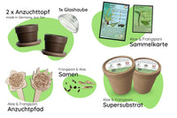 Bundle des Monats