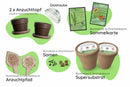 Bundle des Monats