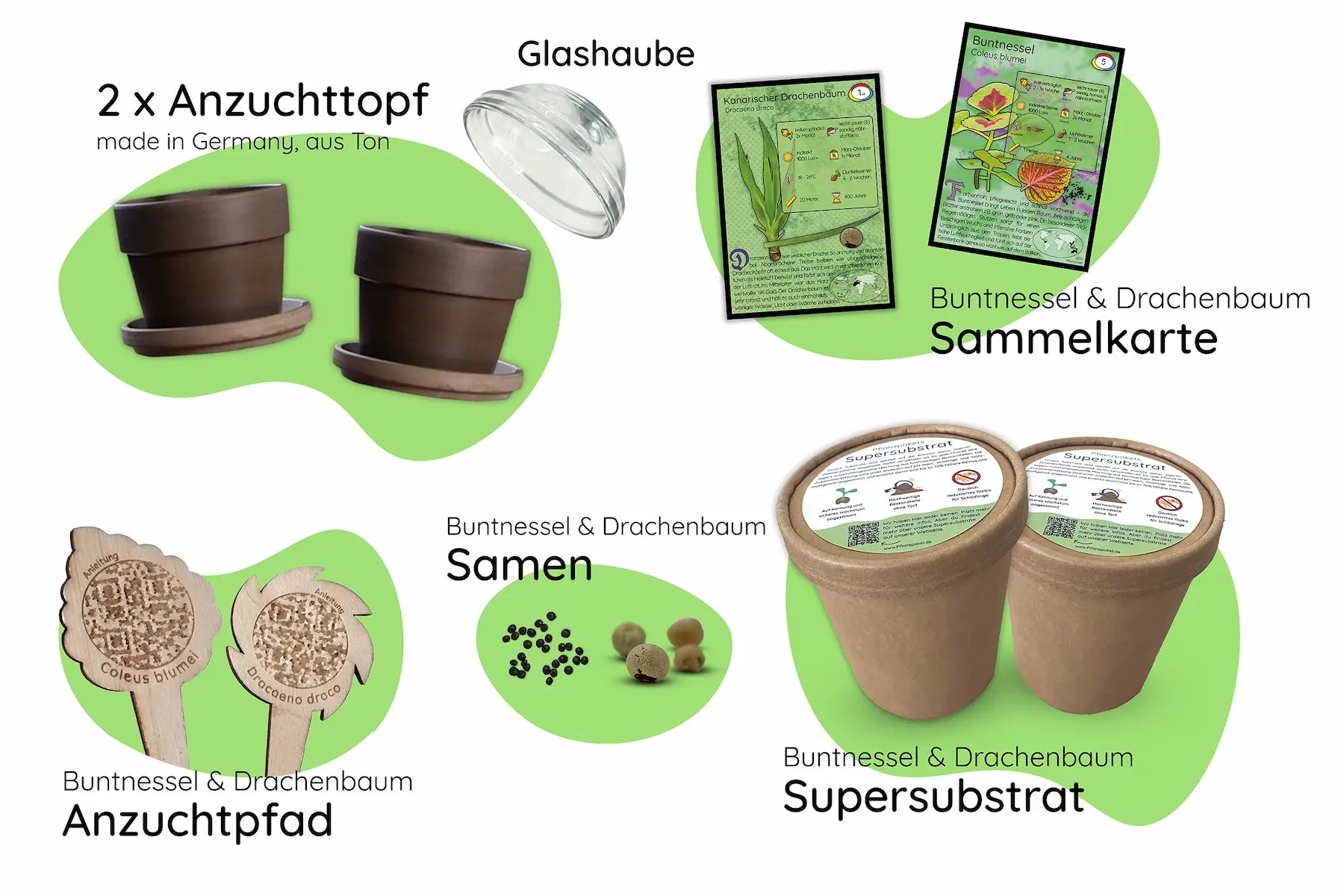 Bundle des Monats