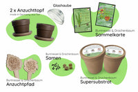 Bundle des Monats
