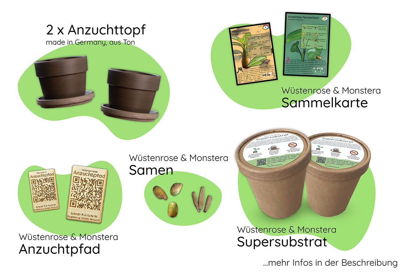 Bundle des Monats - Mai