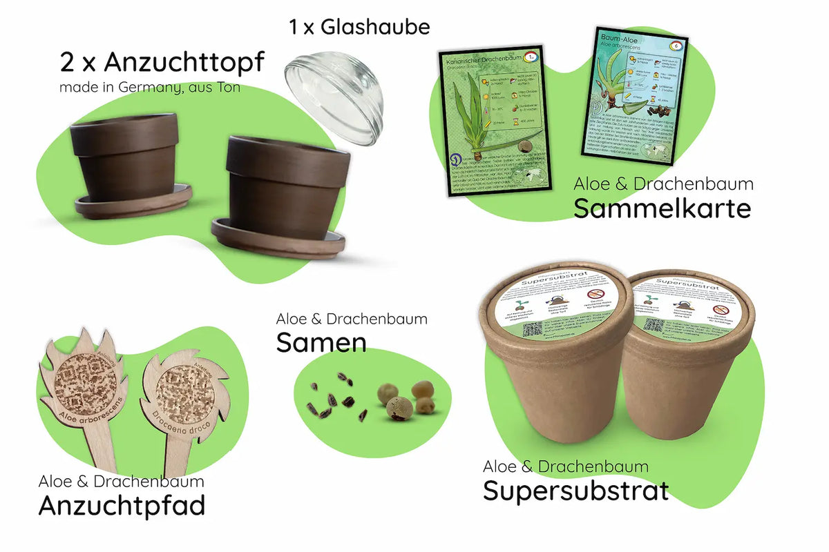 Bundle des Monats
