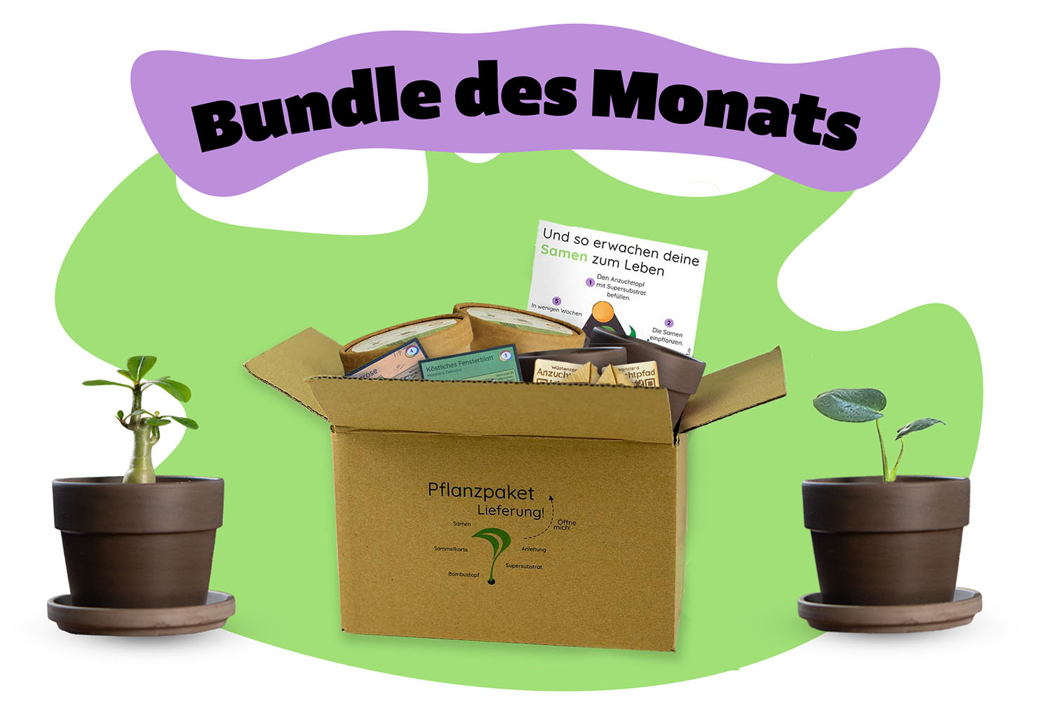 Bundle des Monats - Mai