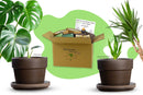 Bundle des Monats