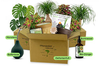 Vom-Samen-zum-Dschungel-Bundle