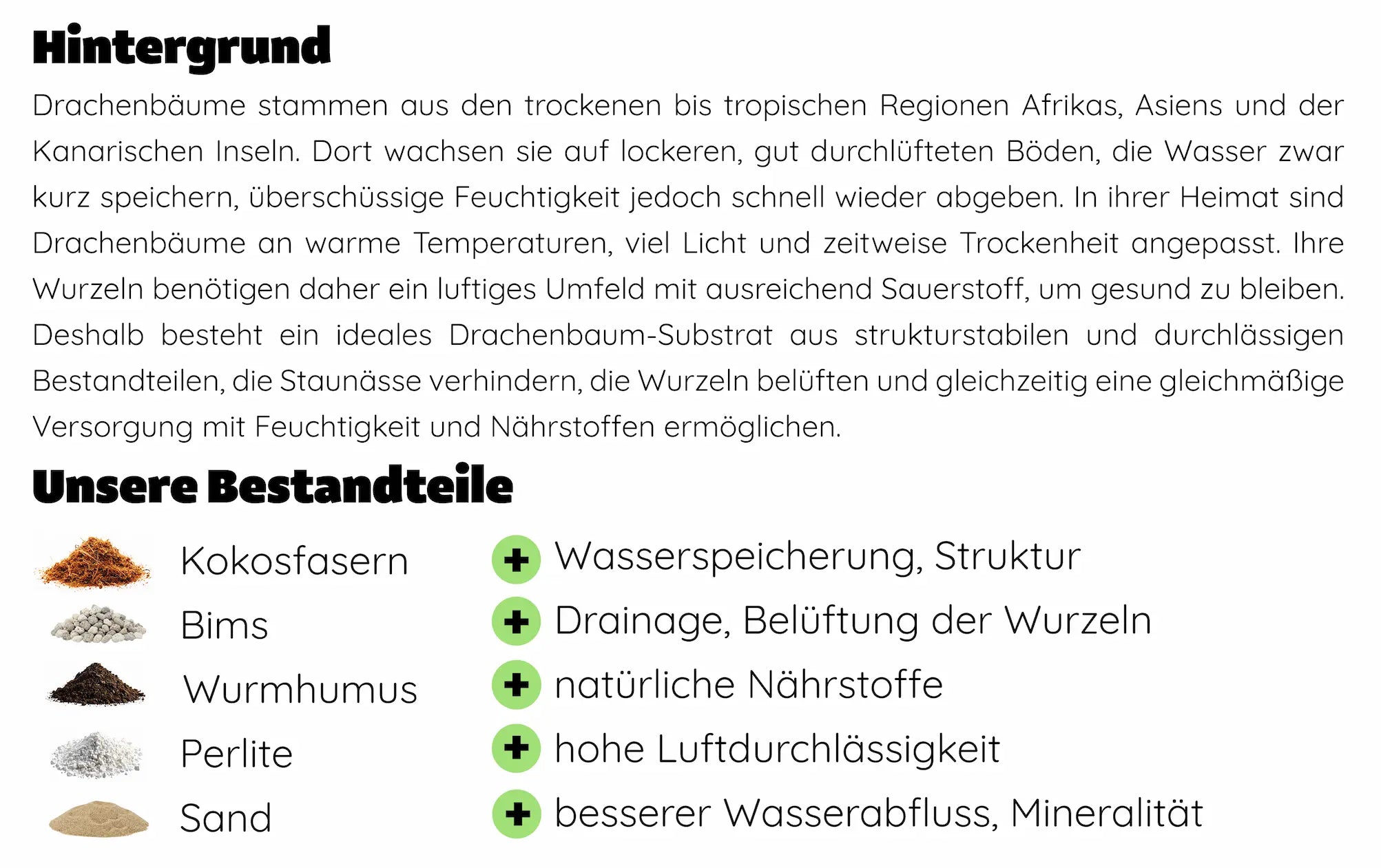Drachenbaum Substrat Bestandteile