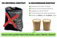 Drachenbaum Substrat Vergleich