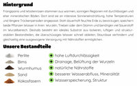 Wüstenrose Frangipani Substrat