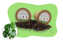 Monstera Substrat ohne Plastik