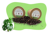 Monstera Substrat ohne Plastik