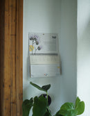 Wachsender Kalender an der Wand