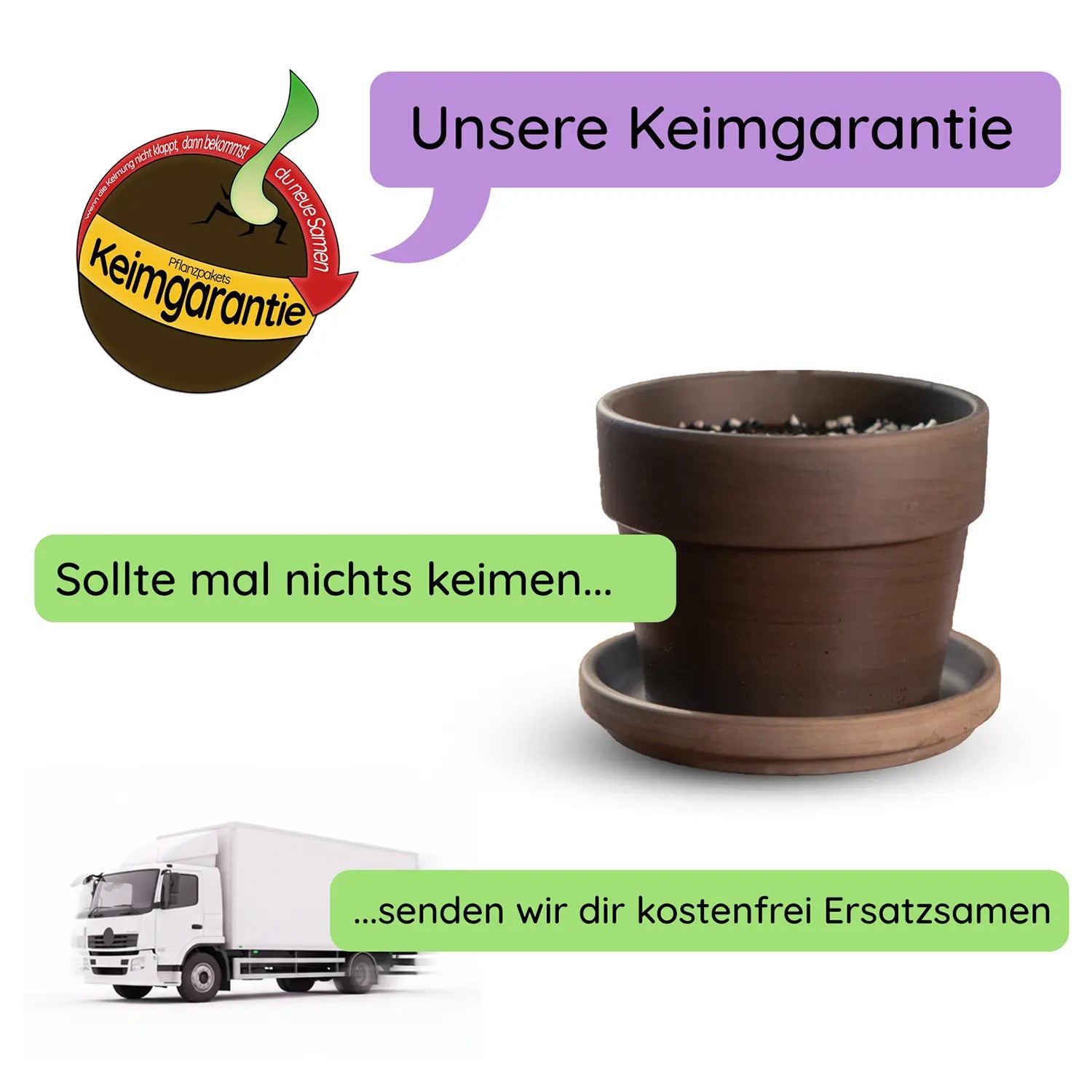 Anzuchtset (Monstera)