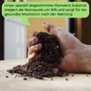 Anzuchtset (Monstera)