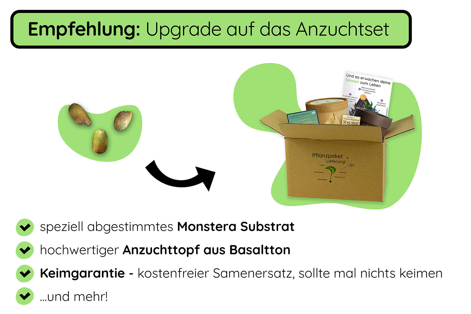 Monstera deliciosa Samen