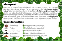 Monstera Substrat